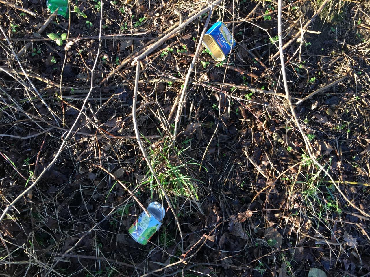 More Anglers Litter