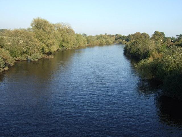 River Ouse Donkey Woods